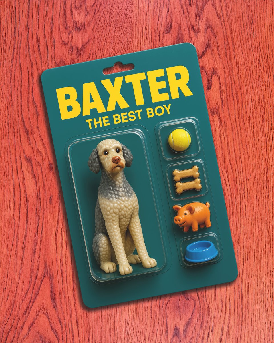 Paws of Awe Pet Photography 🐾 tweet media