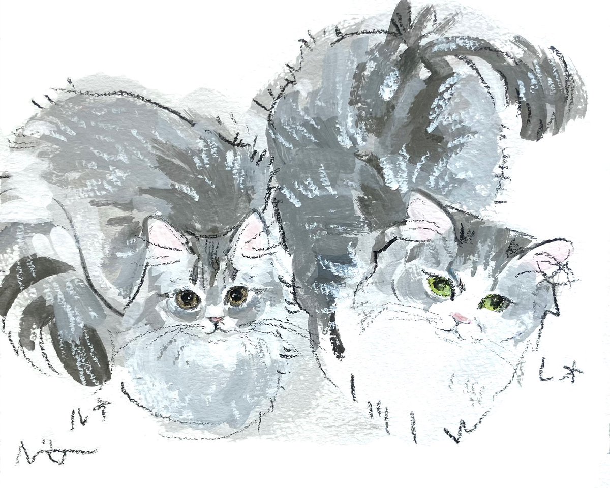 猫さんオーダー作品のご紹介2匹の長毛猫さんたちですハガキ 猫さんオーダー作品のご紹介2匹の長毛猫さんたちですハガキ