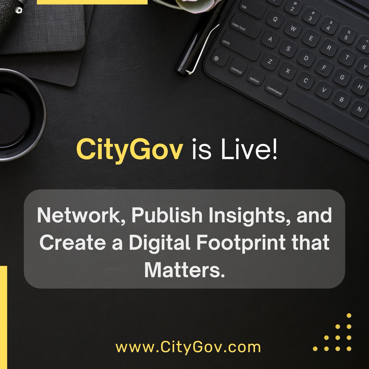 CityGov tweet media