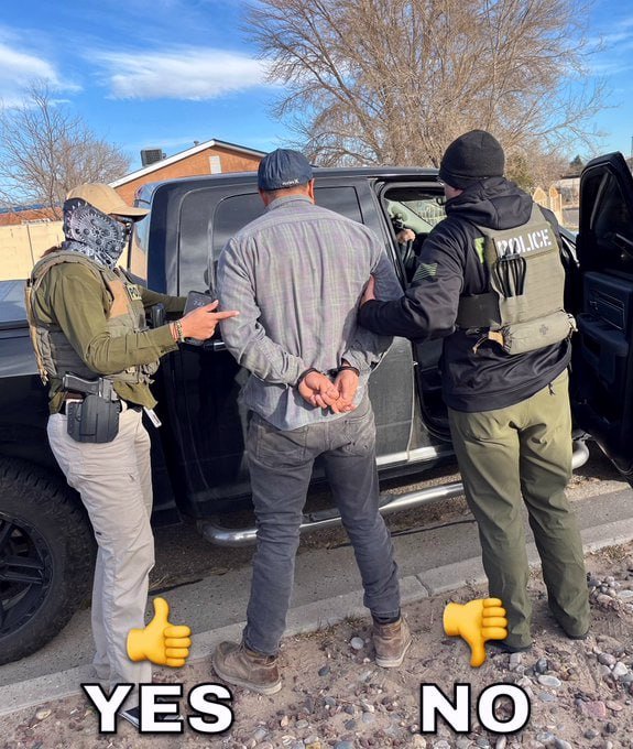 Do you support President Trump invoking The Alien Enemies Act of 1798 to SPEED UP deportations of CRIMINAL illegals?

A. YES
B. NO