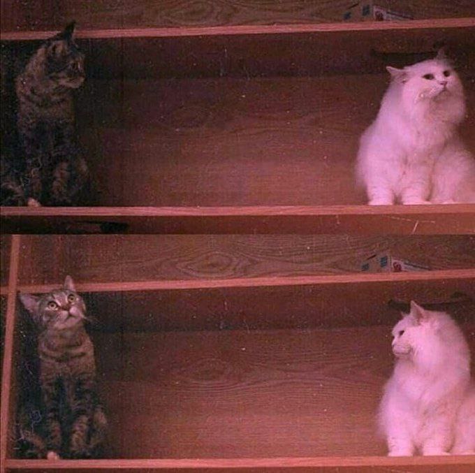 مذاکره غیر مستقیم فقط این🥺😻