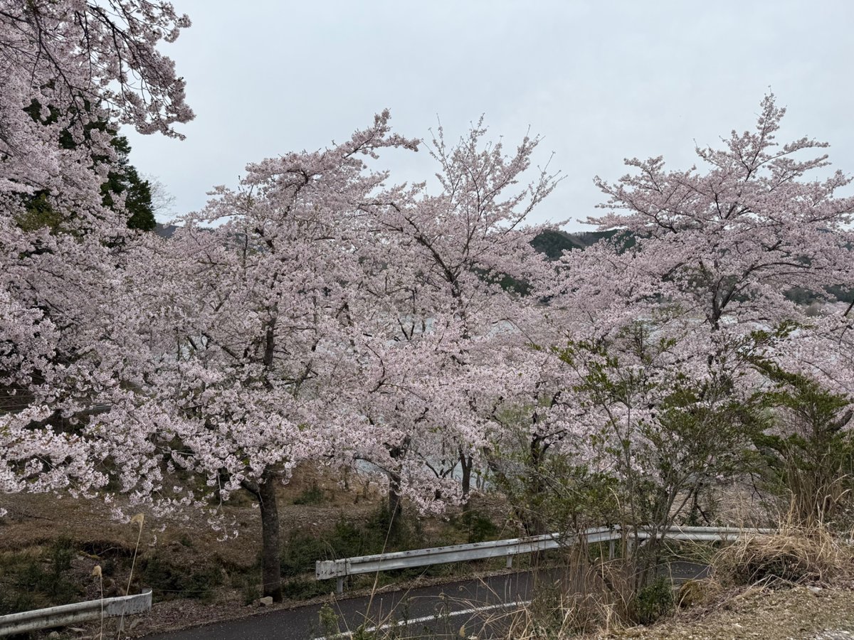 SanaiShou's tweet photo. 土師ダム https://t.co/n88zMag9BN