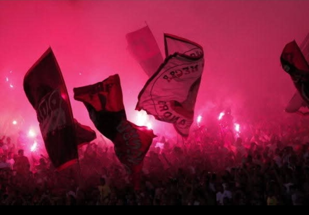 rrn_friburgo's tweet image. Voltaremos ✊🏼