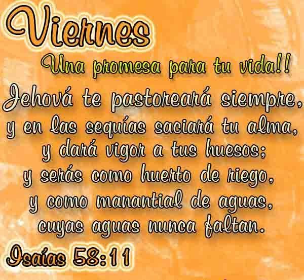 Maynor morales (@maynor69110298) on Twitter photo 