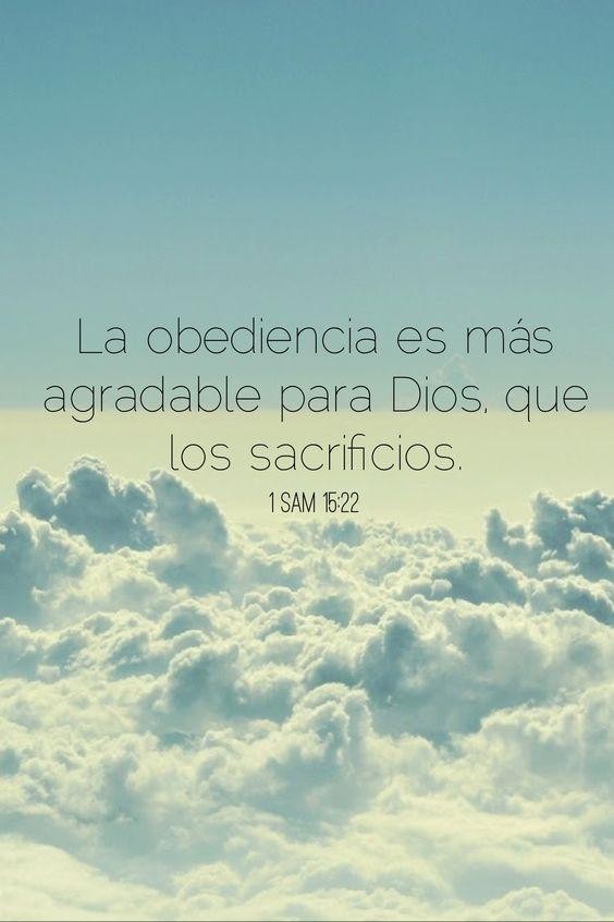 Maynor morales (@maynor69110298) on Twitter photo 