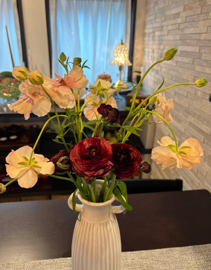 Juliomodeo's tweet photo. アネモネにはあまり見られない紫色が、今日たまたま目につき、三束買ってきました。こういう上品な色が好きで、ベルベットのように美しくて、見ていると牡丹じゃなくて、紫の薔薇のような気がします😊 https://t.co/HROjTZ5JQd