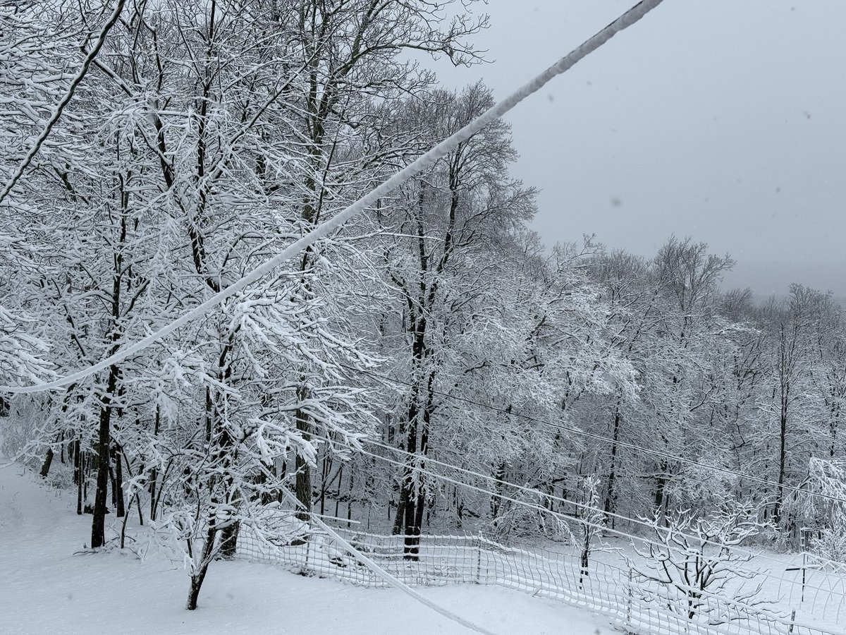 freogi_'s tweet photo. Just over 4.5” in Sussex, NJ at 1300’. Very heavy, dense snow and still snowing. Currently 32 degrees at 8:20am. 
@nynjpaweather @StormTeam4NY @CBSNewYork @weatherchannel @News12NJ https://t.co/3Ow5cauId7
