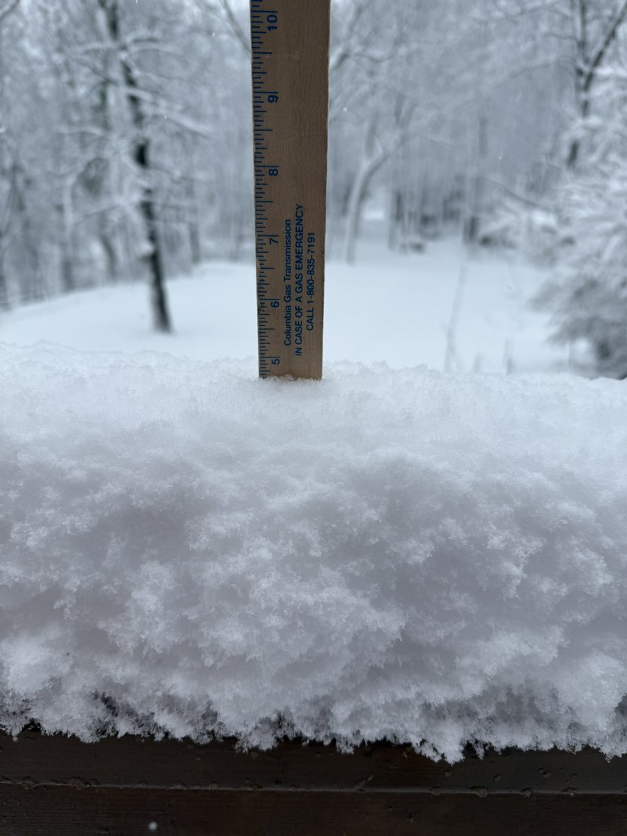 freogi_'s tweet photo. Just over 4.5” in Sussex, NJ at 1300’. Very heavy, dense snow and still snowing. Currently 32 degrees at 8:20am. 
@nynjpaweather @StormTeam4NY @CBSNewYork @weatherchannel @News12NJ https://t.co/3Ow5cauId7