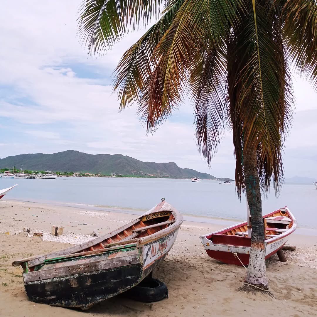 GianlucaCoccon1's tweet photo. Hermosa postal 
desde JUANGRIEGO isla de Margarita 🇻🇪🇻🇪🇻🇪🇻🇪🇻🇪🇻🇪🇻🇪🇻🇪🇻🇪🇻🇪🇻🇪🇻🇪🇻🇪🇻🇪🇻🇪🇻🇪🇻🇪🇻🇪
📸 @QueroEric https://t.co/9jwjLqgPdm