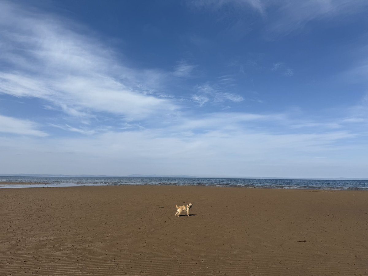 MacBark's tweet photo. What a beach day pals. ☀️ Practiced me #rockclub too https://t.co/MUWdOg1mWE