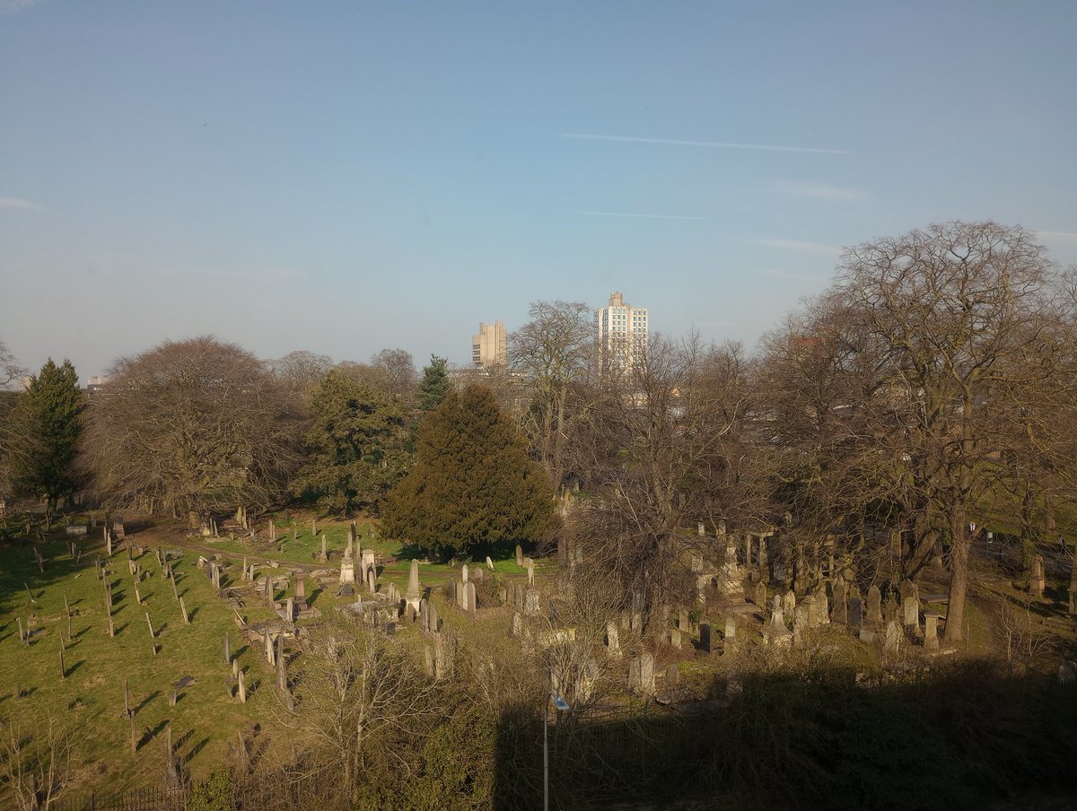 The perfect view for writing the next section of my Dracula article ✍️ how claiming the earth can be a mark of power