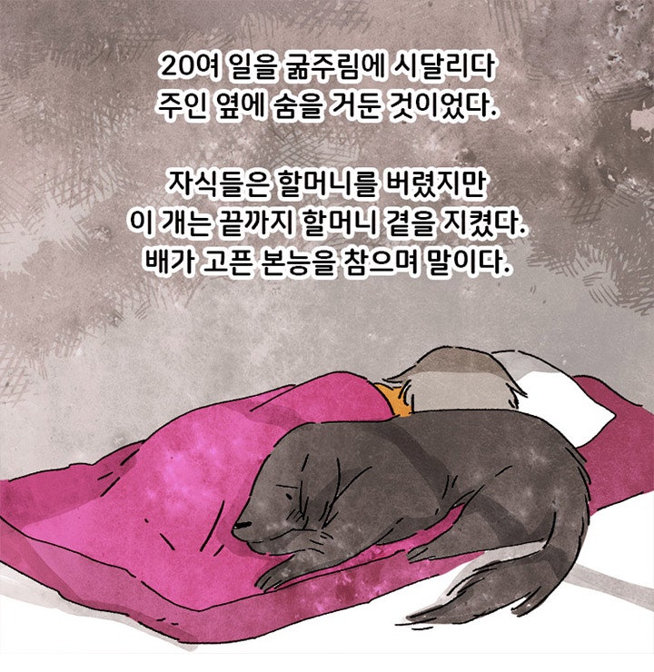 이런거 보면 진짜 먹어서라도 살아남았으면 좋겠음.. 안그래도 인간보다 짧은생 버텨줘