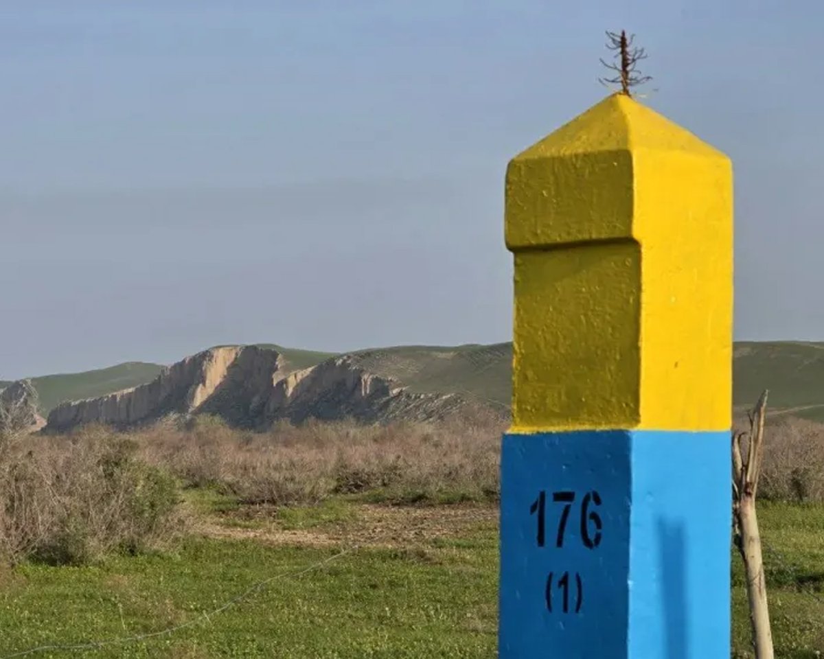 Dr. Kate Leeming OAM tweet media