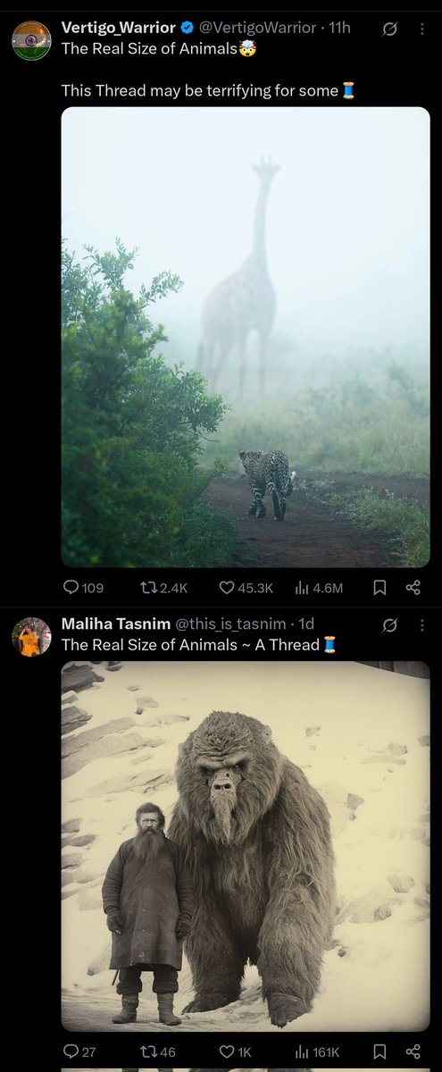 8BitWolves tweet media