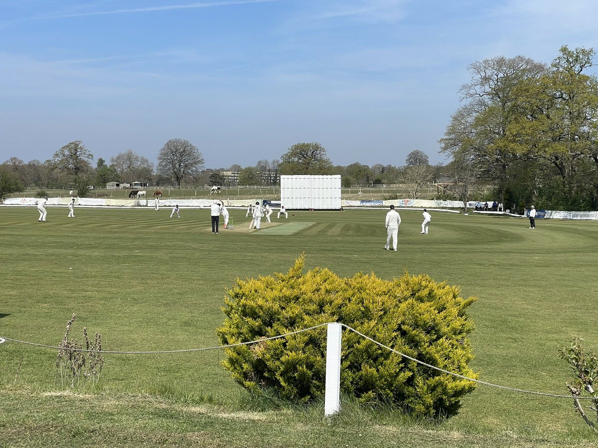 Yesterday I, Chris Wheal, watched Hampshire’s Brad Wheal (no relation) take four wickets at The Oval. Today I watched my son, Joe Wheal, hit a mighty six straight over the sightscreen. The sun shines on the righteous.
