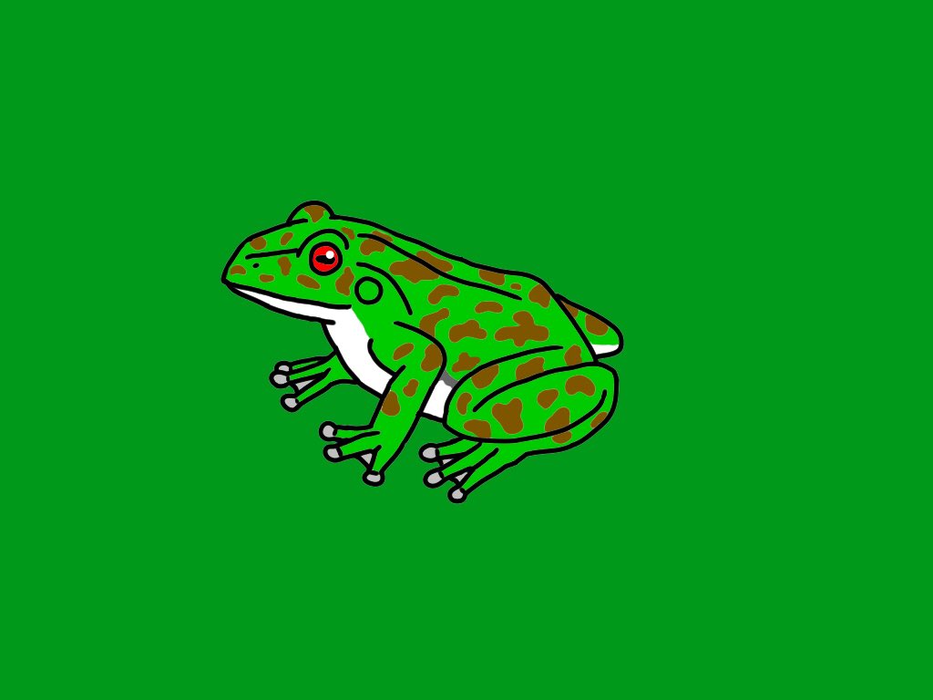 mkkai21's tweet photo. モリアオガエル🐸
#両生類
#カエル
#モリアオガエル
#イラスト
#amphibian
#frog
#Forestgreentreefrog
#illust https://t.co/gu4bwYF8FC