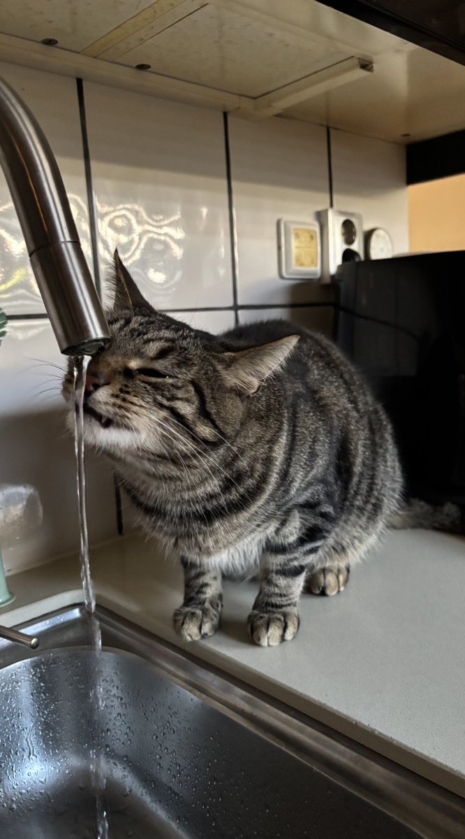 “Tankbeurt is bezig”