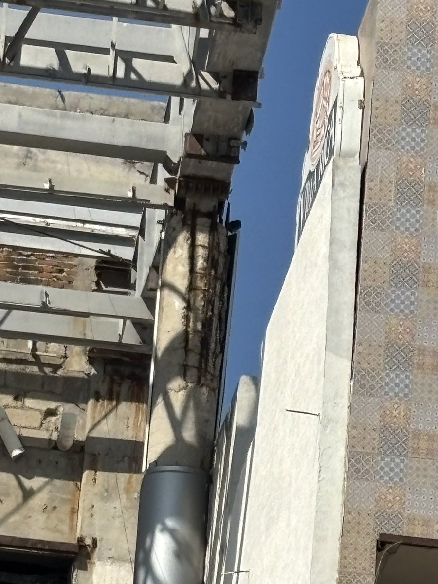 AC___P's tweet photo. @GobiernoVer @PCEstatalVer @rocionahle
Quiero reportar un riesgo estructural grave en un edificio ubicado sobre Blvd. Ávila Camacho, entre Ballena y Tortuga, en Costa de Oro, Veracruz. https://t.co/PCb7pQb9Su