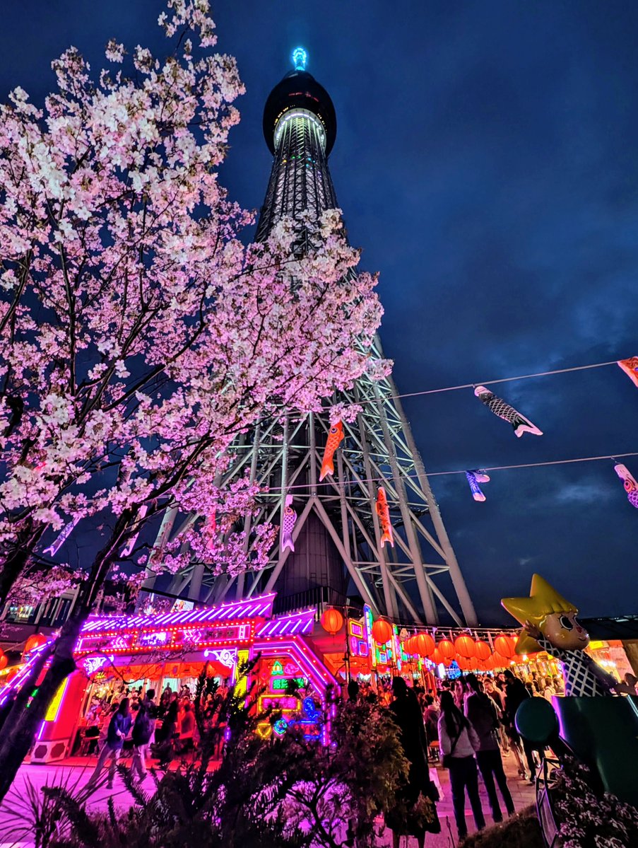 桜🌸の季節にコイ🎏の季節✨
東京スカツリーはチンアナゴのぼり
#ポケモンGO
#PokemonGO
#GOsnapshot
#GOsnapshotCelebration
#ARofTheDay