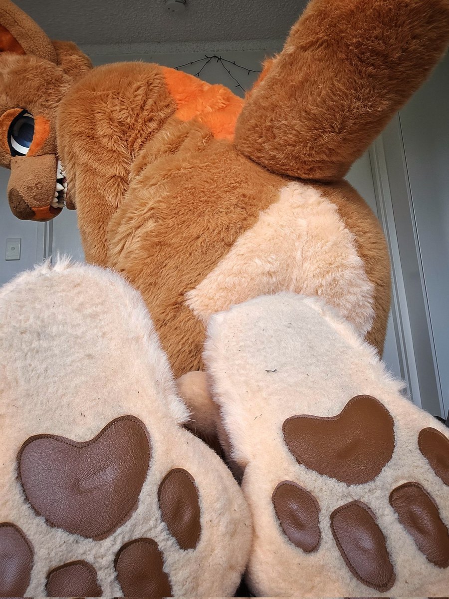 Woof~ 🐾