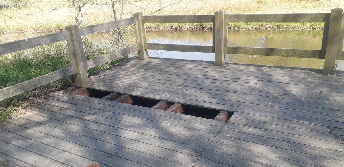 Frank Scholman tweet media