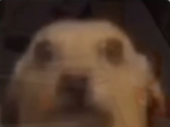 acutenin's tweet image. i was talking to this girl outside the hunters association and i shit u not every single light just went out ???? 😭😭😭