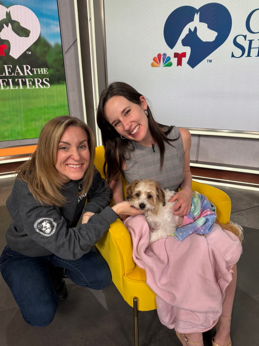 Pennsylvania SPCA (@pspca) on Twitter photo The perfect Chiquita made her way to <a href="/NBCPhiladelphia/">NBC10 Philadelphia</a> to meet <a href="/SheilaWatko/">Sheila Watko</a>...and hopefully catch the attention of her family.
At 11-months-old, Chiquita has been through a lot, but her future is bright.
-
🏠 PSPCA
📍 350 E Erie Ave., Phila, PA 19134
⭐️ Kennel #3079 The perfect Chiquita made her way to <a href="/NBCPhiladelphia/">NBC10 Philadelphia</a> to meet <a href="/SheilaWatko/">Sheila Watko</a>...and hopefully catch the attention of her family.
At 11-months-old, Chiquita has been through a lot, but her future is bright.
-
🏠 PSPCA
📍 350 E Erie Ave., Phila, PA 19134
⭐️ Kennel #3079