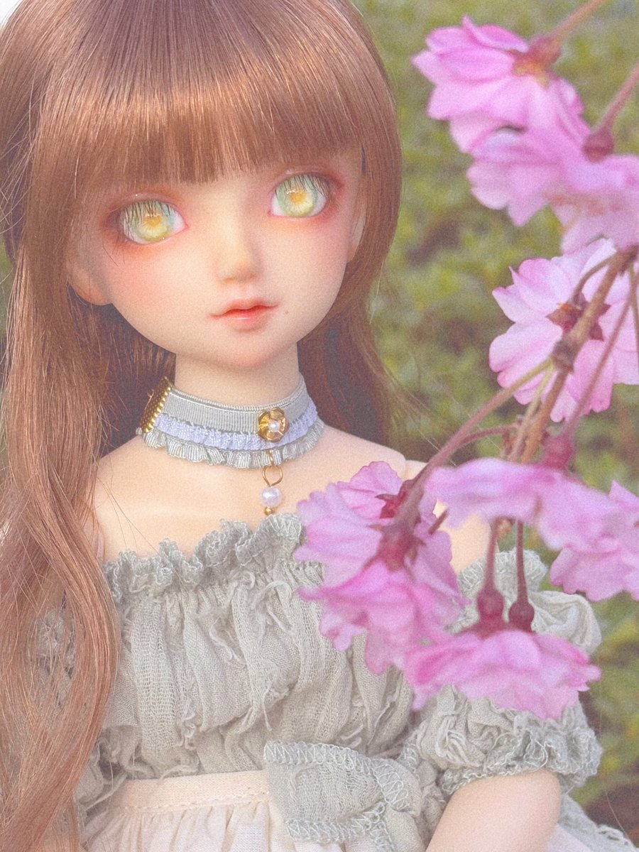 春に触れる

👗:#狸のファンタジー

#SDM45
#うちのこかわいい