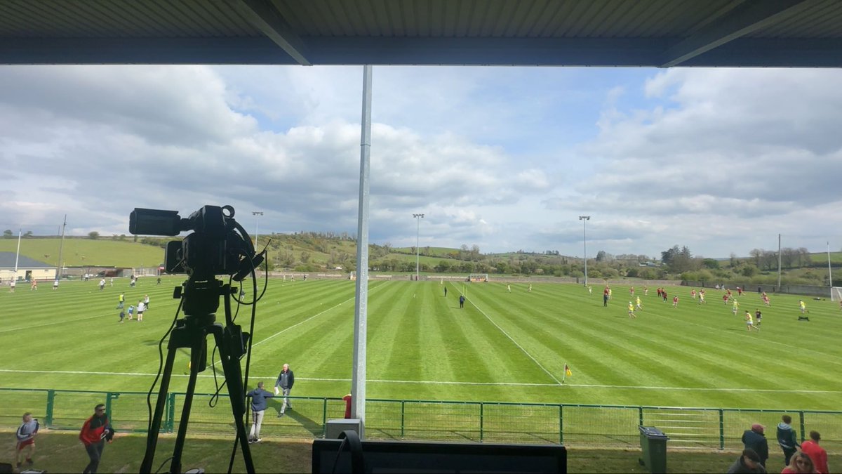 Hayley Ryan tweet media