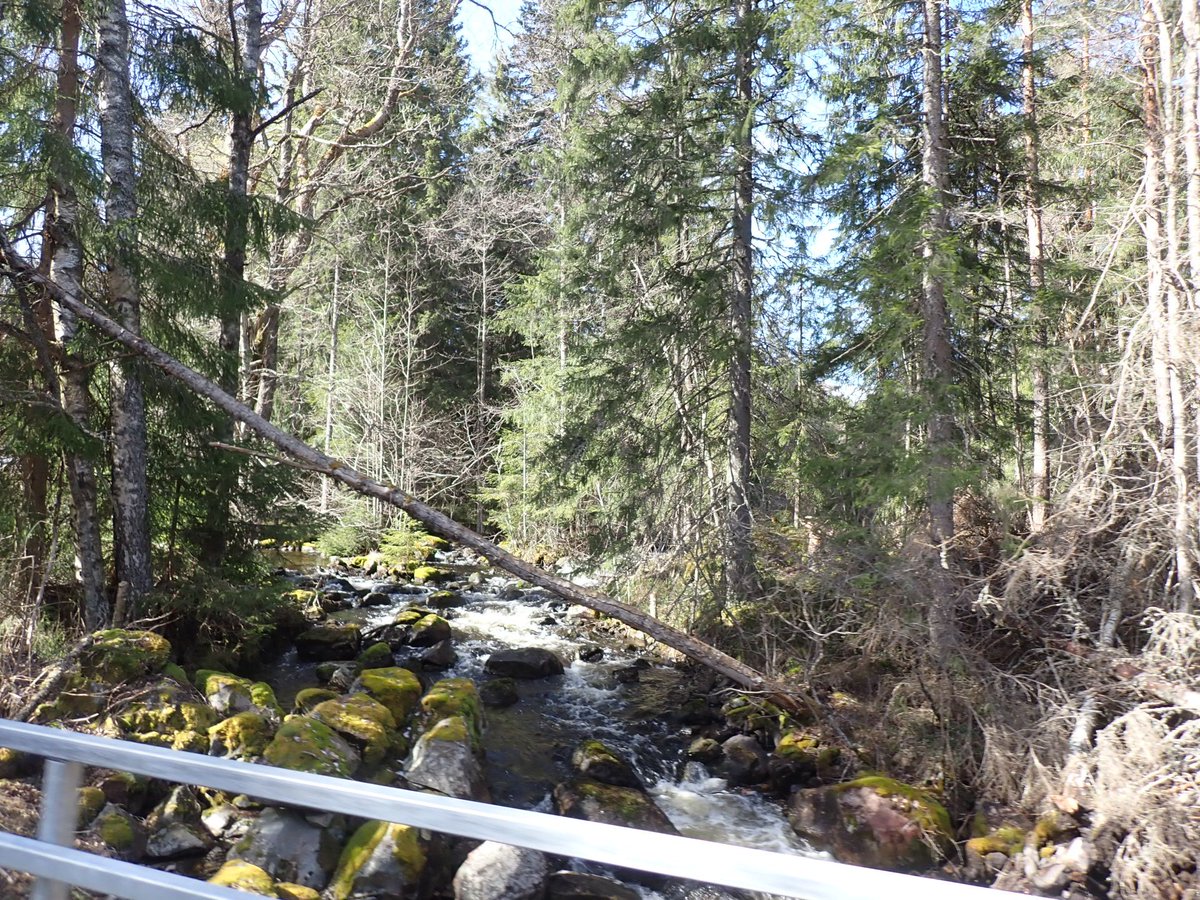 mkpaa's tweet photo. Puolimatkasta löytyi krouvi. 93/200 km. #espoo200 https://t.co/Mn4Y7jZqFF