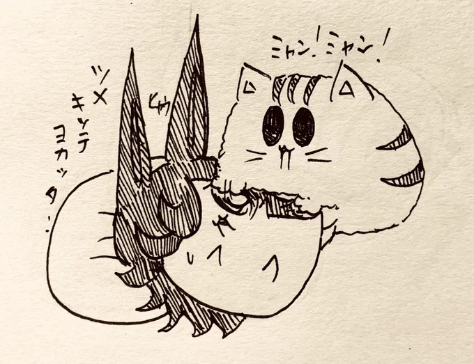 猫パンチを半ライスにあびせるもち虎さん🐯🤜💥 