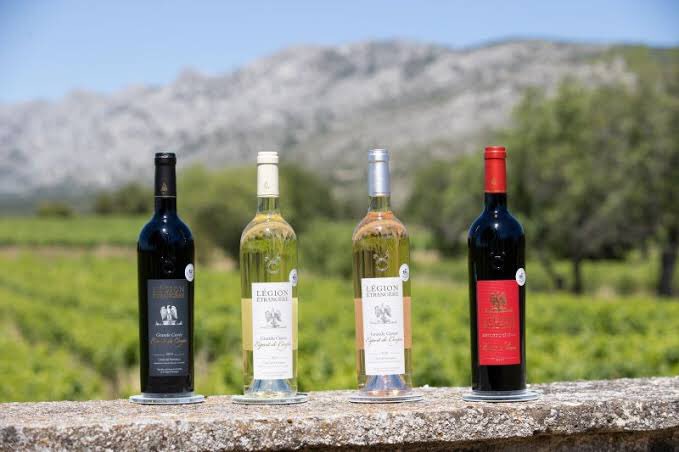 Wrath Of Gnon tweet media