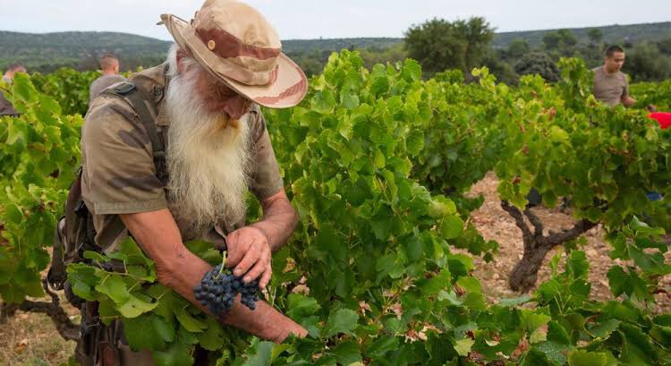 Wrath Of Gnon tweet media