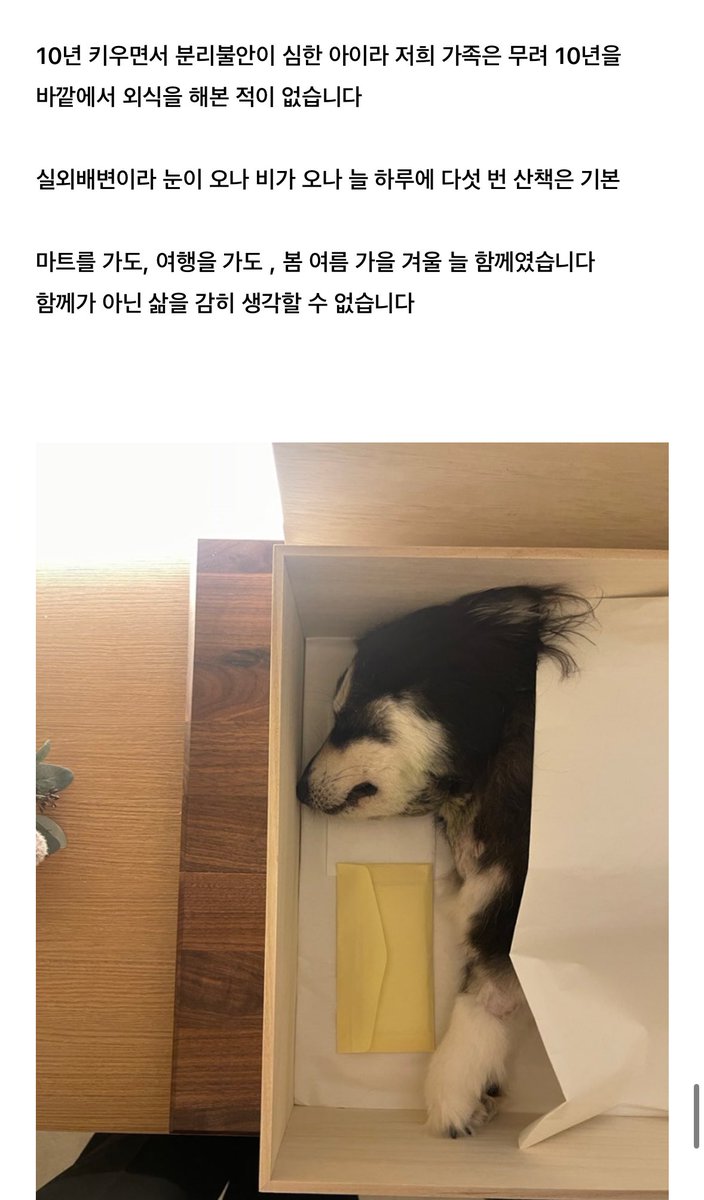 RAD_univ's tweet photo. 일산 24시 동물병원 의료사고 https://t.co/dPnGO5a9BT