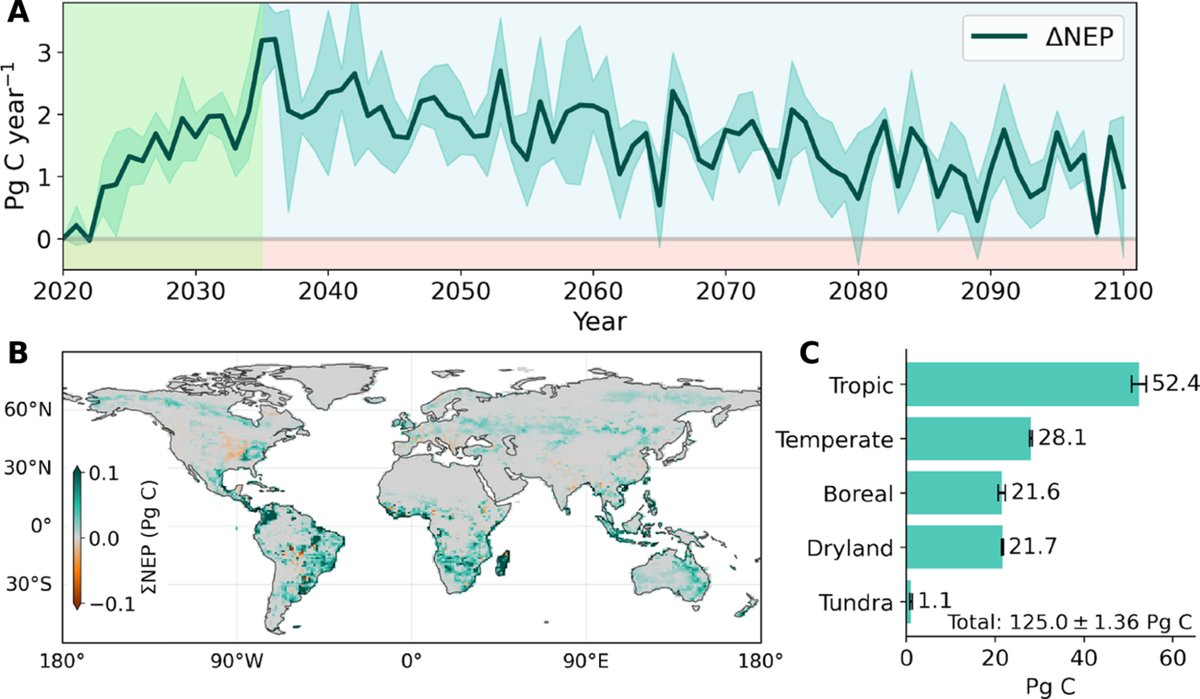 Targeted forestation initiatives have the potential to help mitigate climate change by sequestering carbon, particularly in tropical areas, so long as disturbances such as fires and albedo changes are minimized, a new study finds. scim.ag/4jmou2r