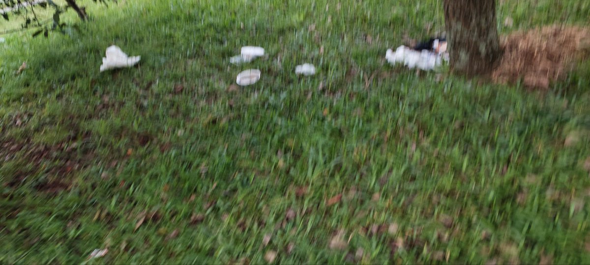 Juliano Nascimento Monteiro tweet media