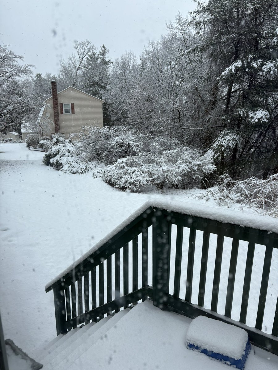 Shoveling was not on my bingo card for today 🤦🏻‍♂️