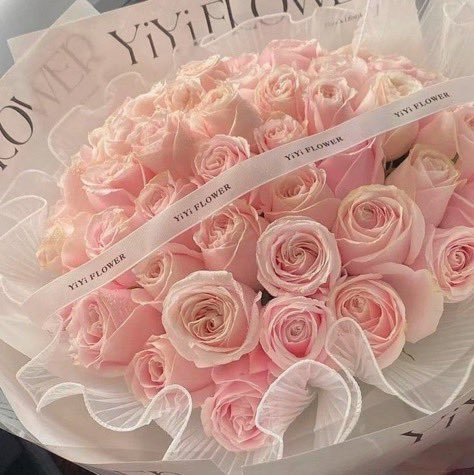 ResBrasiletto's tweet image. ⠀⠀╱⠀  *⠀   
⠀⠀⠀           𝐁𝐑𝐀𝖲𝖨𝖫𝖤𝖳𝖳𝖮 𝐂𝐀𝐅𝐄́.ᐟ

ᅟ ❛ 𝐏edido: Pinky Promise

    ʿ𝐃e: 🐇
    ʿ𝐏αrα: @sleepngmoon 

ᅟᅟ💌 ： ❝ pra começar o dia com flores. amo voce! ❞