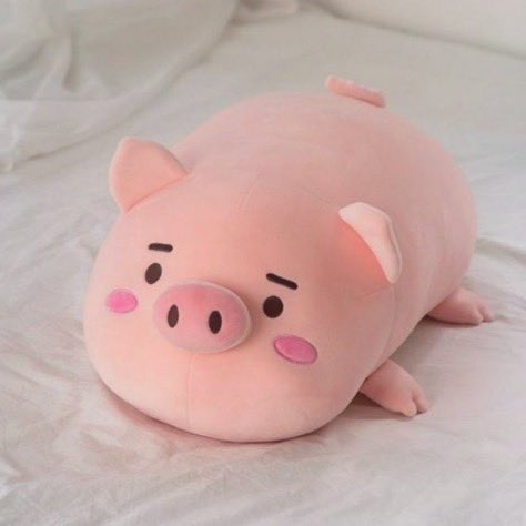 ResBrasiletto's tweet image. ⠀⠀╱⠀  *⠀   
⠀⠀⠀           𝐁𝐑𝐀𝖲𝖨𝖫𝖤𝖳𝖳𝖮 𝐂𝐀𝐅𝐄́.ᐟ

ᅟ ❛ 𝐏edido: Pinky Promise

    ʿ𝐃e: 🐇
    ʿ𝐏αrα: @sleepngmoon 

ᅟᅟ💌 ： ❝ pra começar o dia com flores. amo voce! ❞