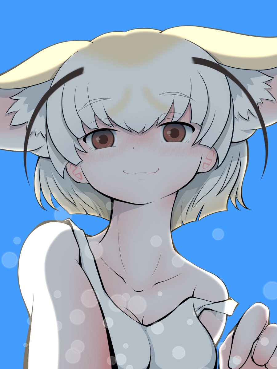 アライさんを洗うよ〜