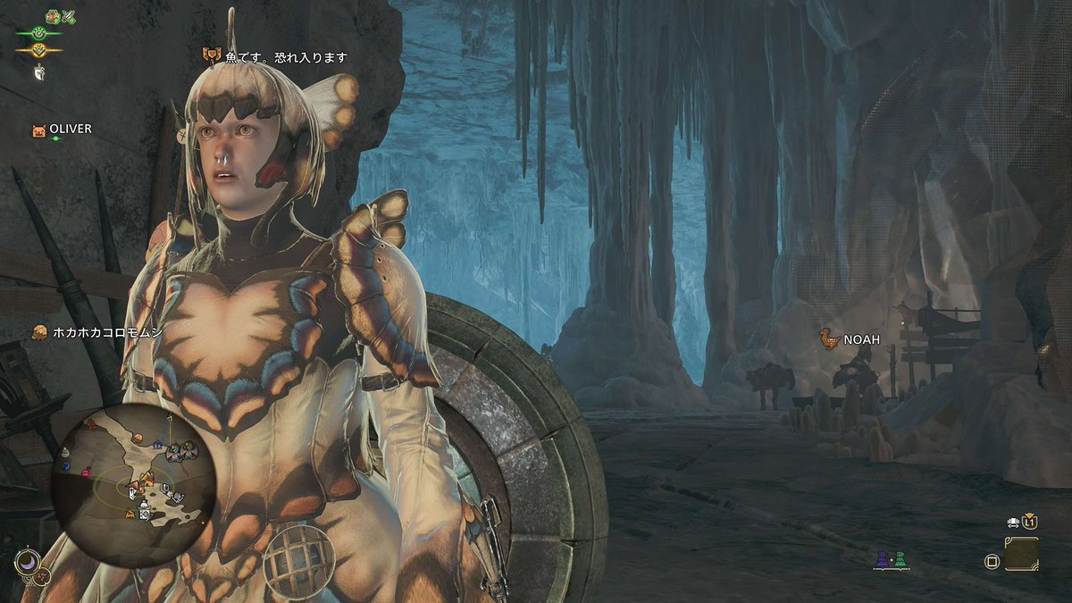 ⇽魚です。 tweet media