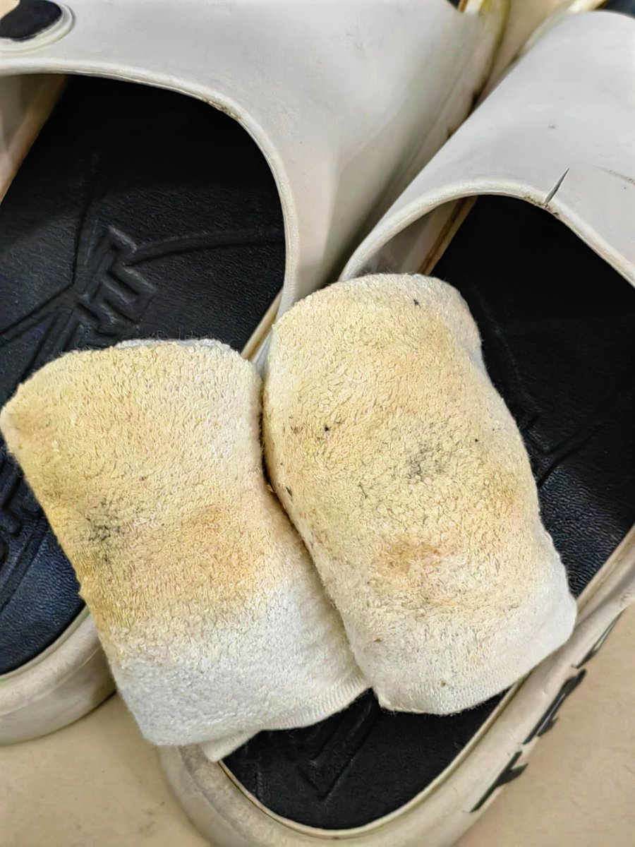 狗逼几天后就能享受到了