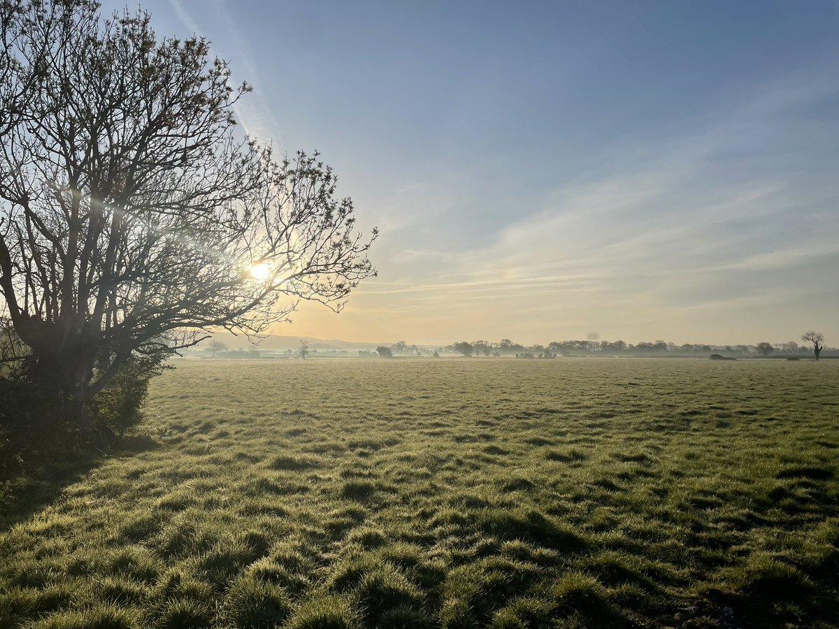 Beautiful Somerset day for Wedmore Young Farmers show. #nofarmersnofood