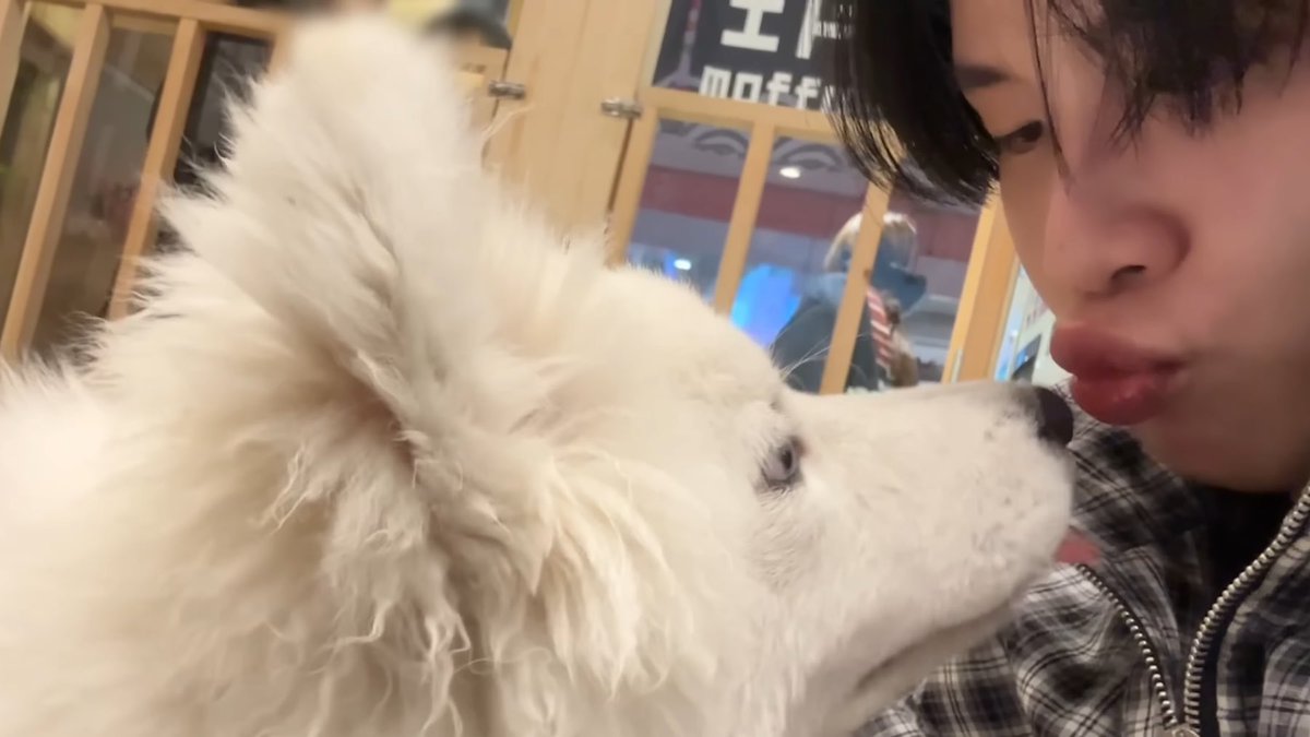 jujujustu's tweet photo. ( ♥️ ) ジャンティ- จันตี้
— จันตี้ของเก๊า  ૮◜ ཅ ◝ა * 🐾💘 * https://t.co/bxrIs2WMfk