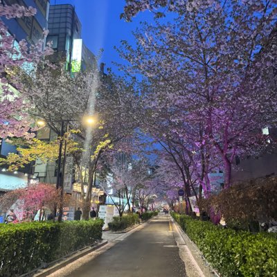 kongjak's tweet photo. #새프로필사진 https://t.co/xsByRclVzE