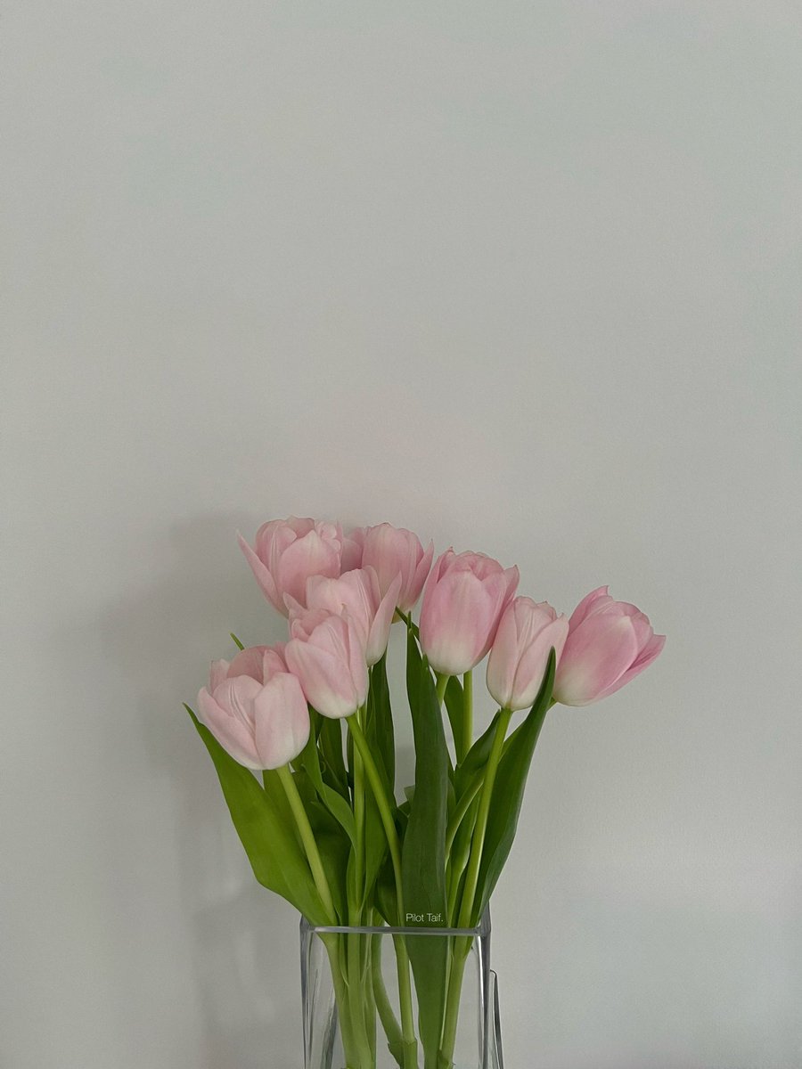 __Taif8's tweet photo. April feels like 🌷💗✨. https://t.co/3TMRyNpSi6