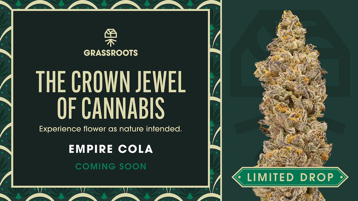 curaleafmd's tweet photo. Something big is coming soon from Grassroots. 👀   Get ready to experience flower as nature intended. Premium cut, hand-trimmed, and precisely cured in Maryland, Empire Cola by Grassroots is a full sensory experience. Keep an eye out for this super limited drop–coming soon! https://t.co/eaLQJ1WSQ5