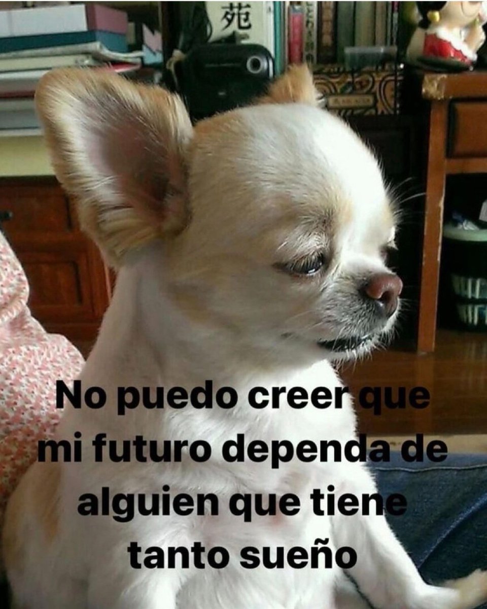 En Júpiter (@en_jupiter_) on Twitter photo 