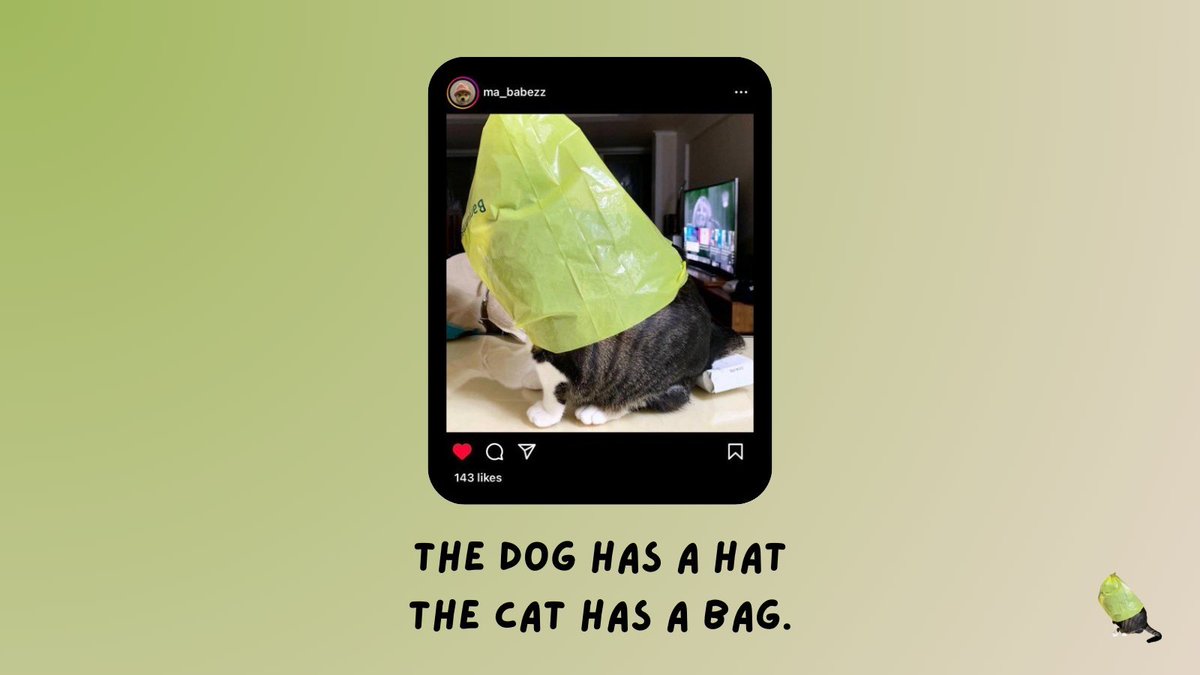 catwifbag tweet media