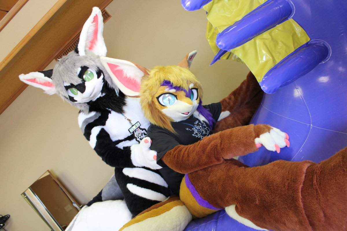 Ayakashi sisters
#ミニもふ19